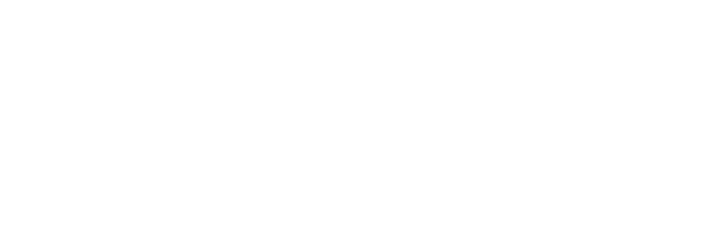 FAMESEG